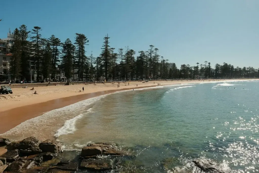 Manly Beach and its Norfolk pines on Sydney’s Northern Beaches